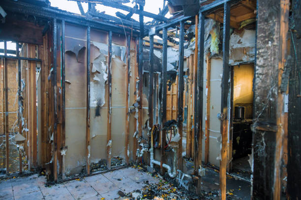 Professional Fire Damage Removal technician working in Nebraska, NE